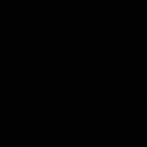 Meet your Posher, Connor